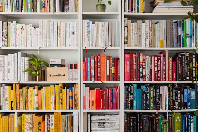 Books organized neatly and tidy on bookshelves, sorted by type and color