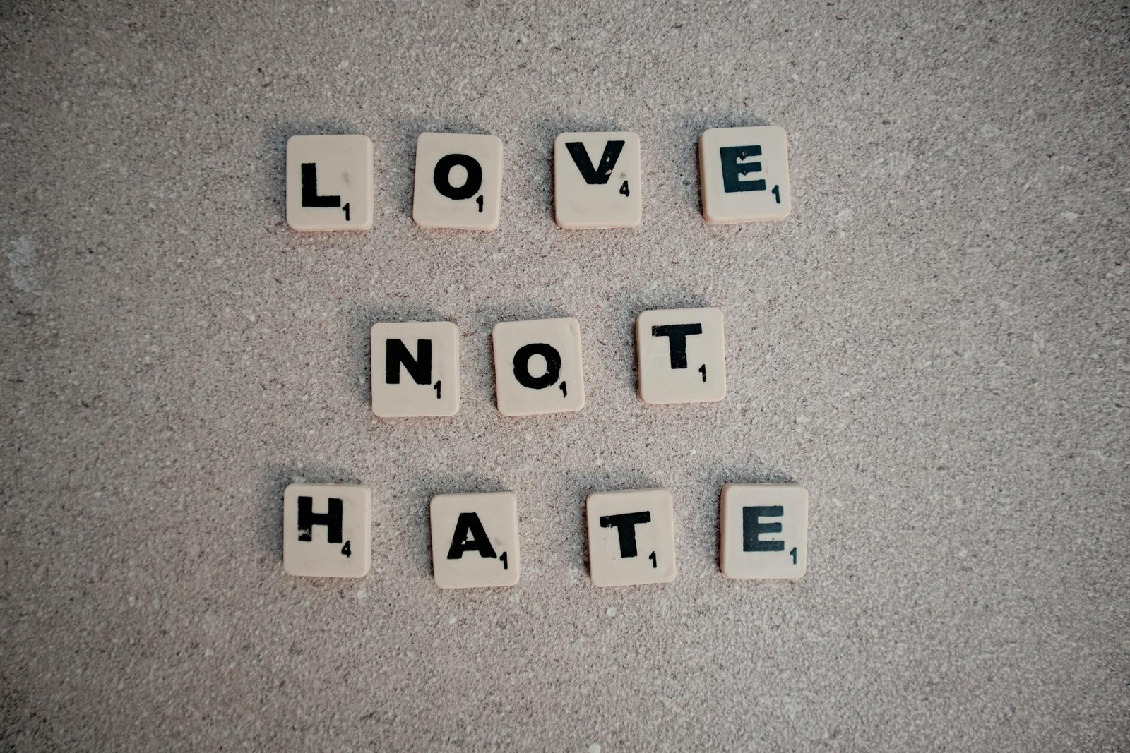 What does the Sixth Commandment mean “You shall not murder.”