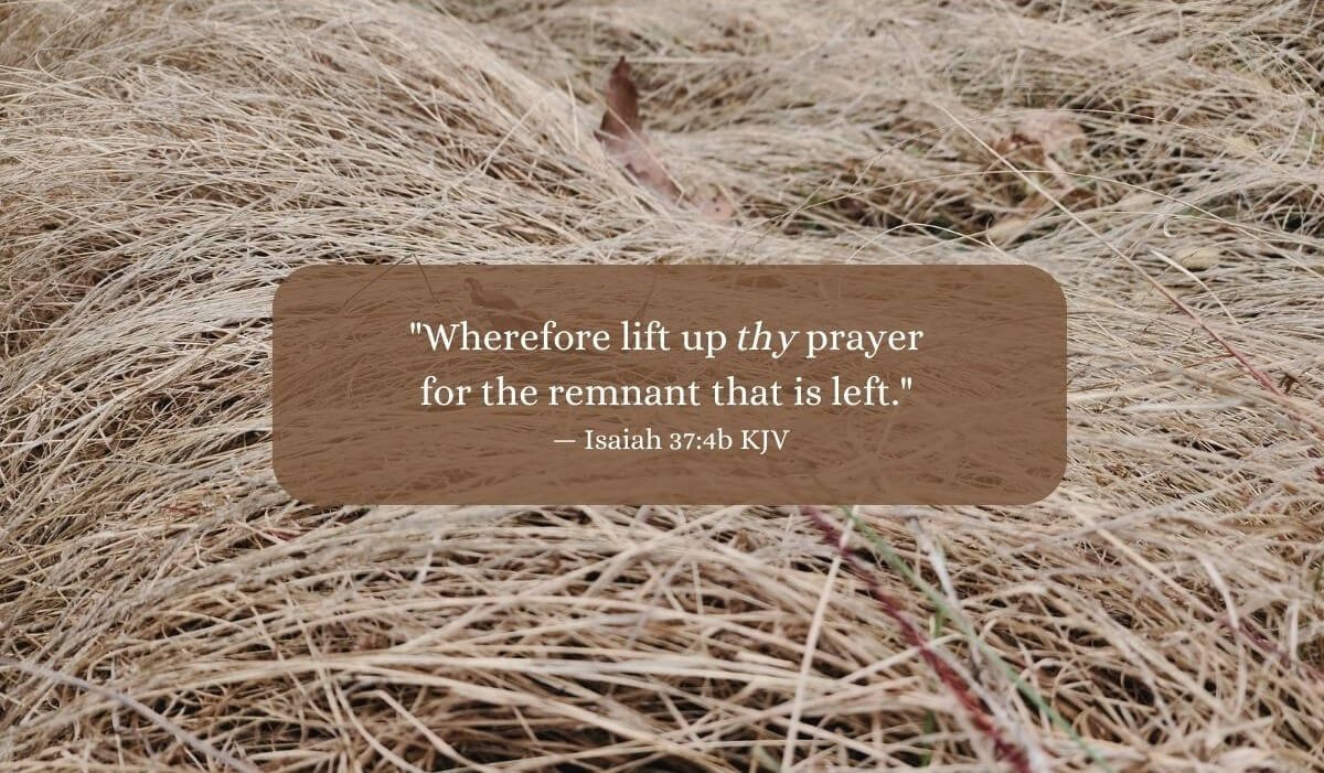 Wheat field with Isaiah 37:4b KJV Wherefore lift up thy prayer for the remnant that is left.